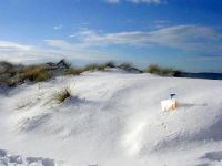 Schneeverwehungen im Mainzer Sand - vermutlich wird es so am Sonntag.
